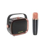 Awei Y889 Portable Mini Karaoke Wireless Speaker